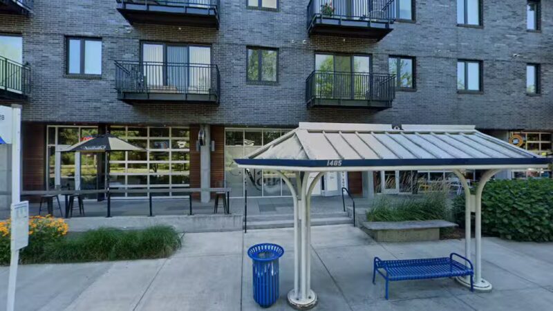 Bark Park - Eugene, OR