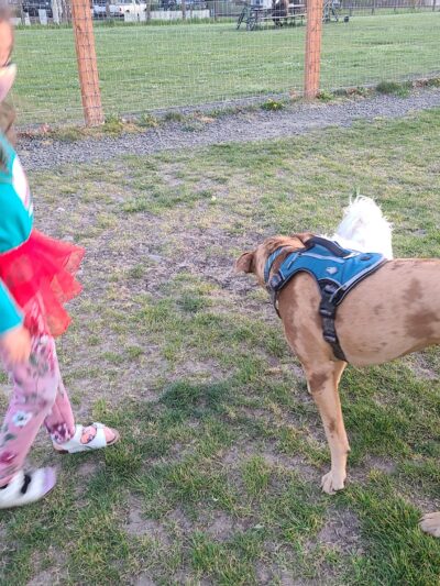 Candlelight Park - Eugene, OR