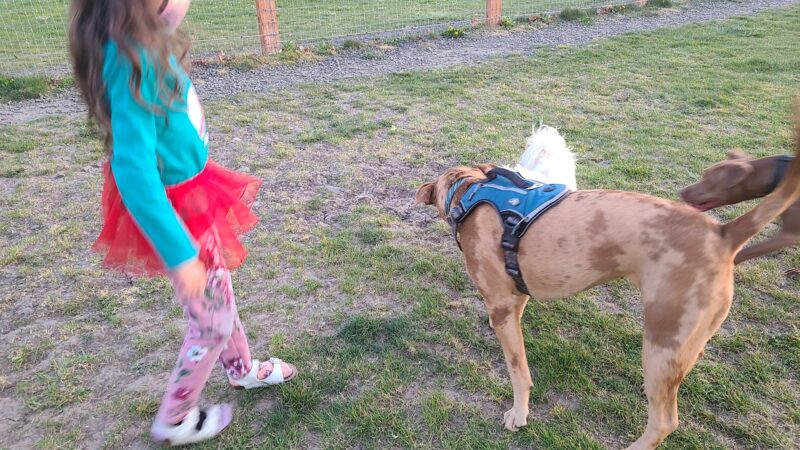 Candlelight Park - Eugene, OR