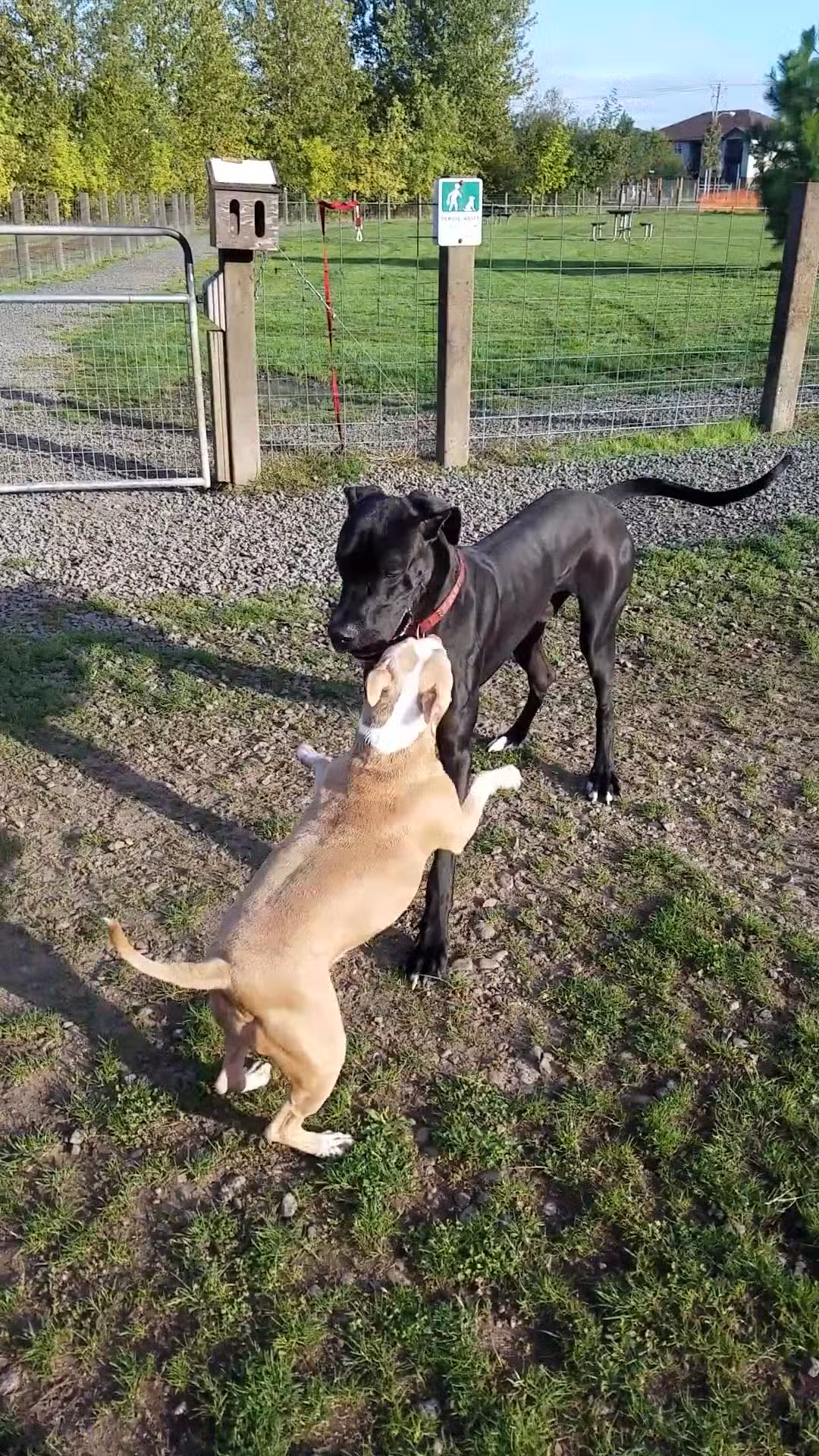 Candlelight Park - Eugene, OR