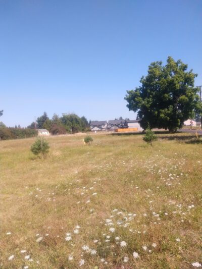 Lone Oak Park - Eugene, OR