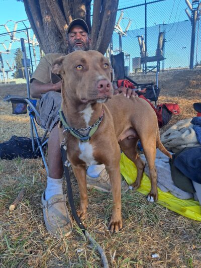 Lone Oak Park - Eugene, OR