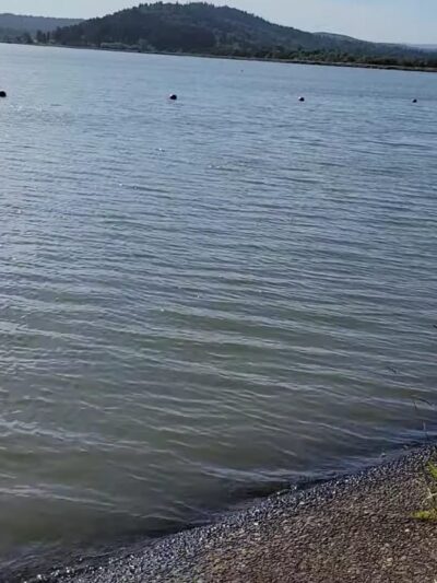Orchard Point Park - Eugene, OR