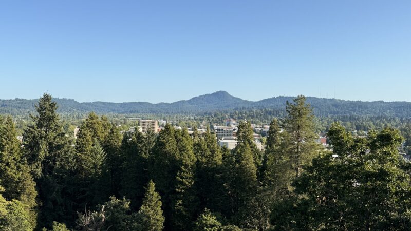 Skinner Butte Park - Eugene, OR