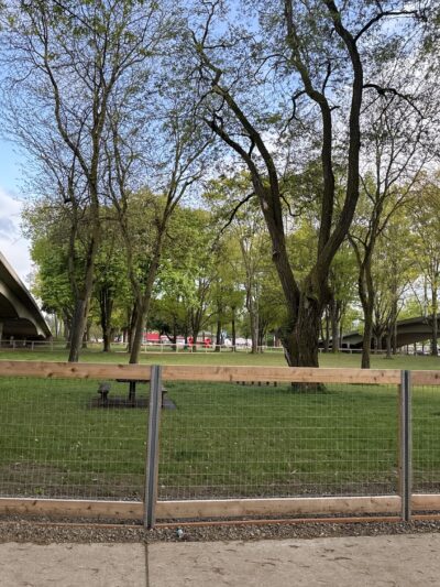 Washington Jefferson Dog Park - Eugene, OR