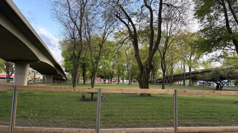 Washington Jefferson Dog Park - Eugene, OR