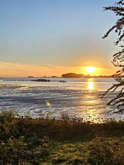 Del Norte Street Dog Park - Eureka, CA