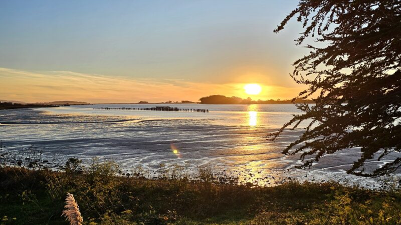 Del Norte Street Dog Park - Eureka, CA