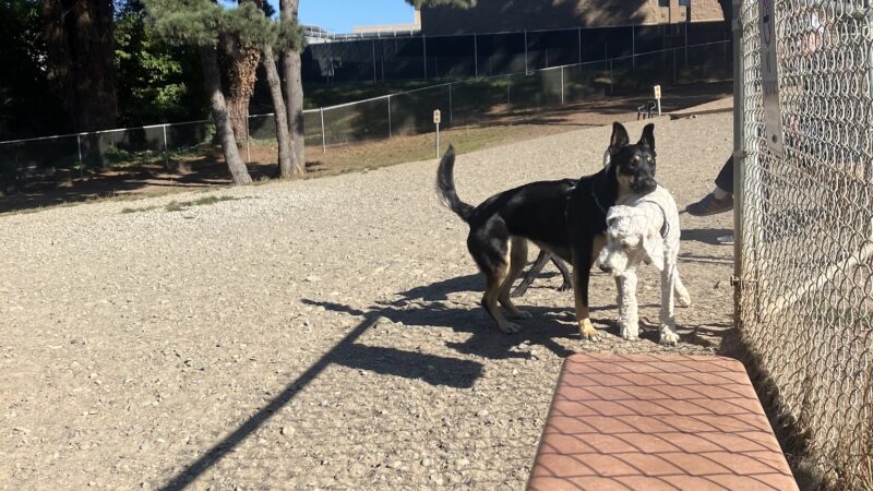 Eureka Dog Park - Eureka, CA