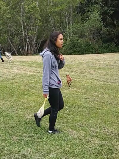 Eureka Dog Park - Eureka, CA