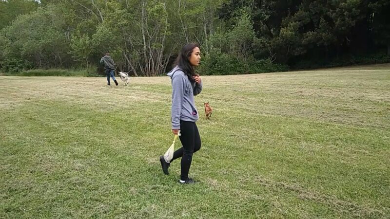 Eureka Dog Park - Eureka, CA