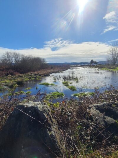 Fay Slough Wildlife Area - Eureka, CA