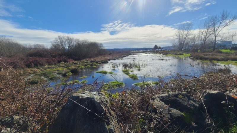 Fay Slough Wildlife Area - Eureka, CA