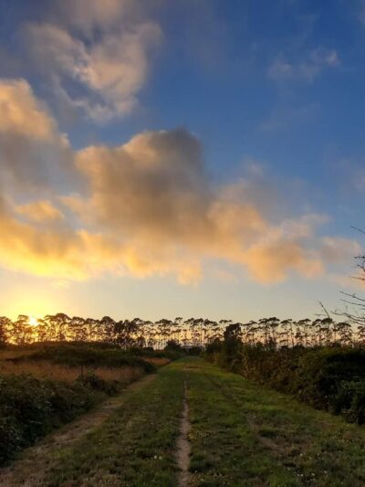 Fay Slough Wildlife Area - Eureka, CA
