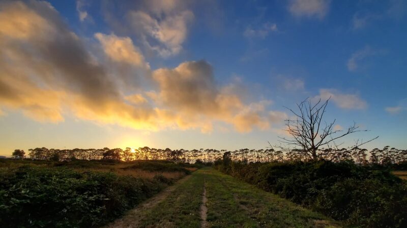 Fay Slough Wildlife Area - Eureka, CA