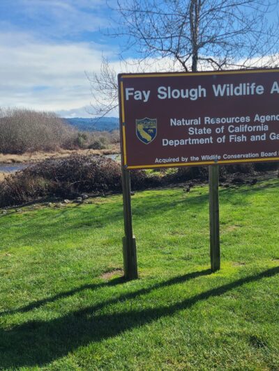 Fay Slough Wildlife Area - Eureka, CA