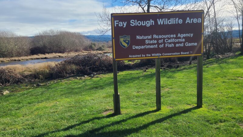 Fay Slough Wildlife Area - Eureka, CA