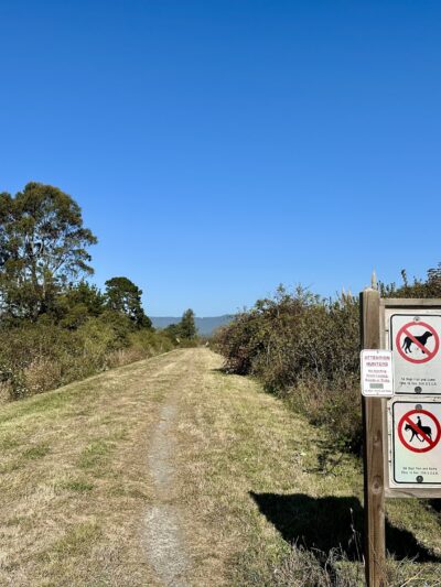 Fay Slough Wildlife Area - Eureka, CA