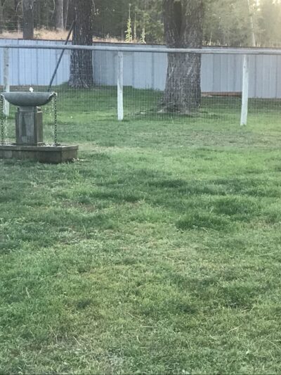 A Diamond in the RUFF - Eureka, MT