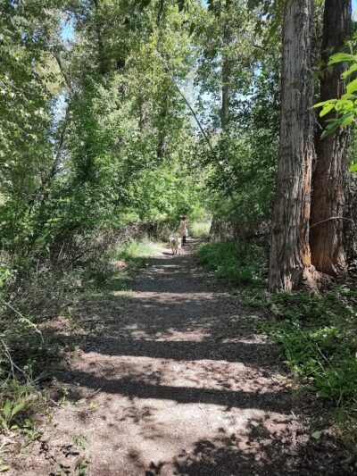 Riverside Park - Eureka, MT