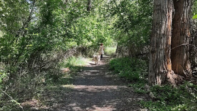 Riverside Park - Eureka, MT
