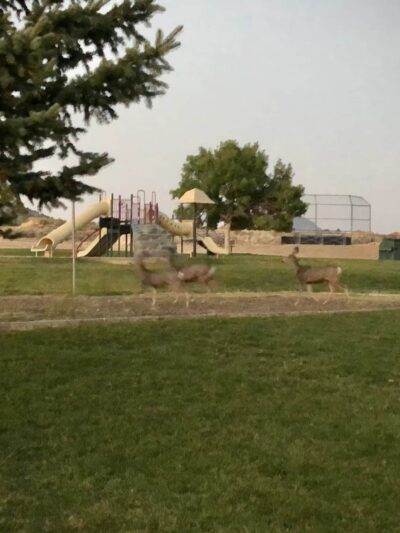 Eureka City Park - Eureka, UT