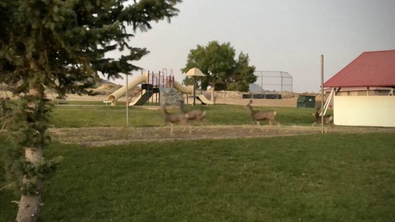Eureka City Park - Eureka, UT