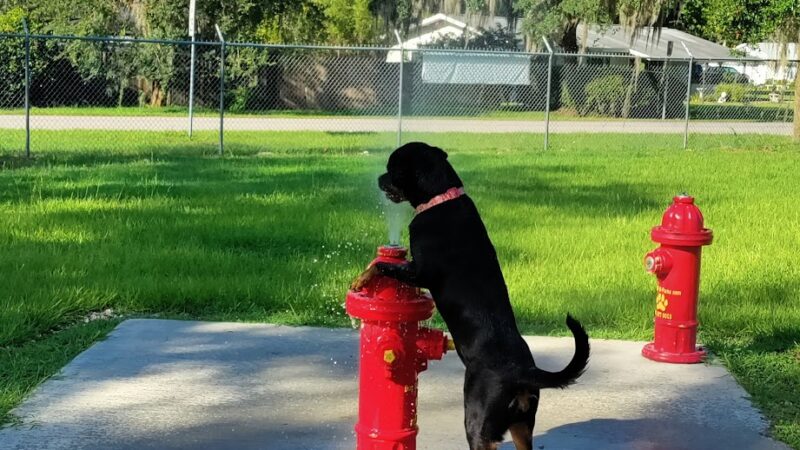Carla Gnann-Thompson Memorial Dog Park - Eustis, FL