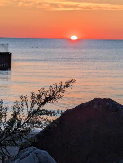 Dog Beach - Evanston, IL