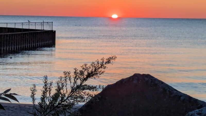 Dog Beach - Evanston, IL