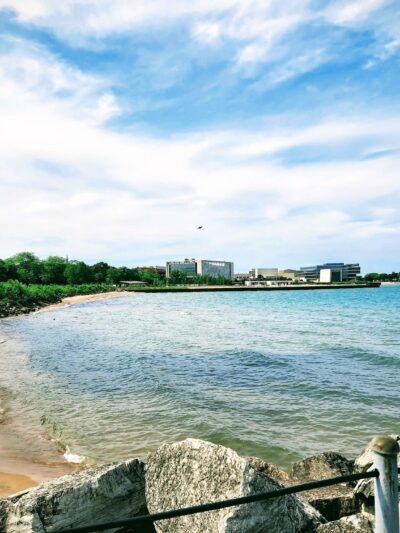 Dog Beach - Evanston, IL