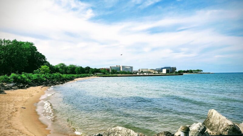 Dog Beach - Evanston, IL
