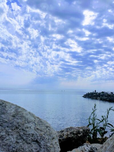 Dog Beach - Evanston, IL