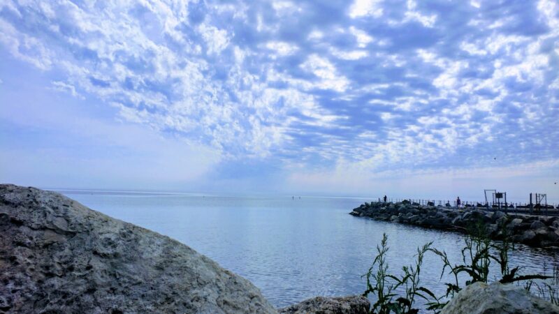 Dog Beach - Evanston, IL