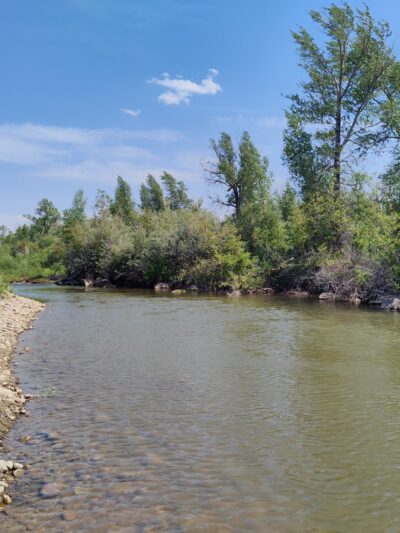 Martin Park - Evanston, WY