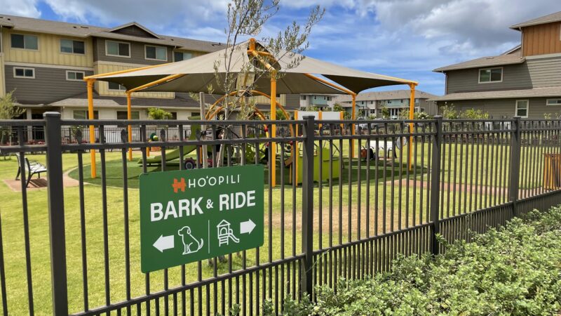 Bark and Ride - Ewa Beach, HI