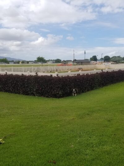 Hoalauna Dog Park - Ewa Beach, HI