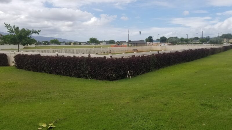 Hoalauna Dog Park - Ewa Beach, HI