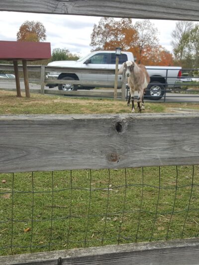 Exeter Town Recreation Department - Exeter, NH