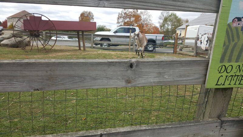 Exeter Town Recreation Department - Exeter, NH