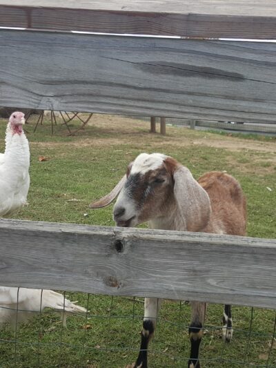 Exeter Town Recreation Department - Exeter, NH