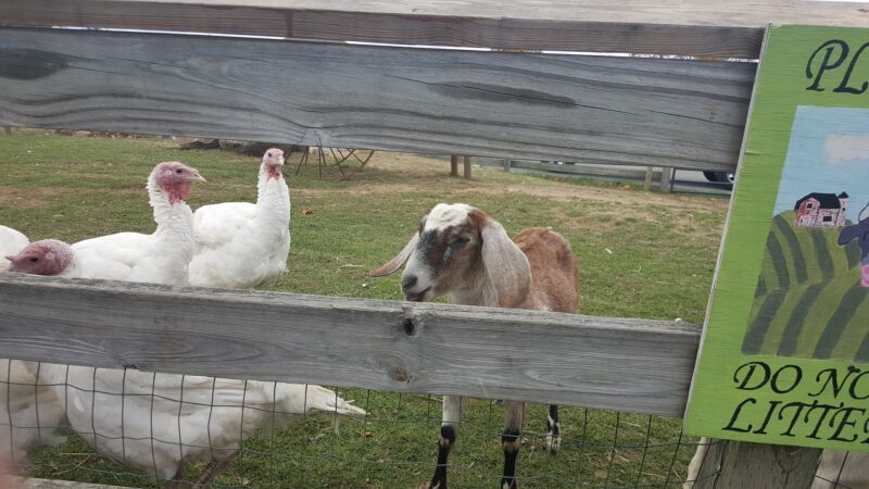 Exeter Town Recreation Department - Exeter, NH