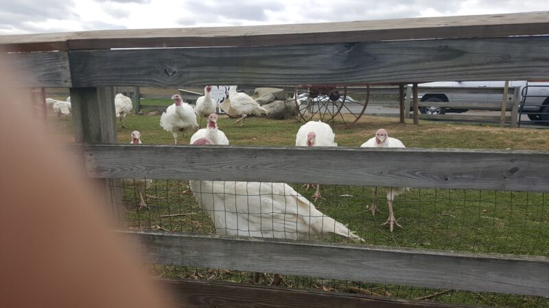 Exeter Town Recreation Department - Exeter, NH