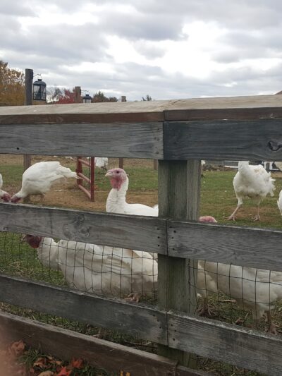 Exeter Town Recreation Department - Exeter, NH