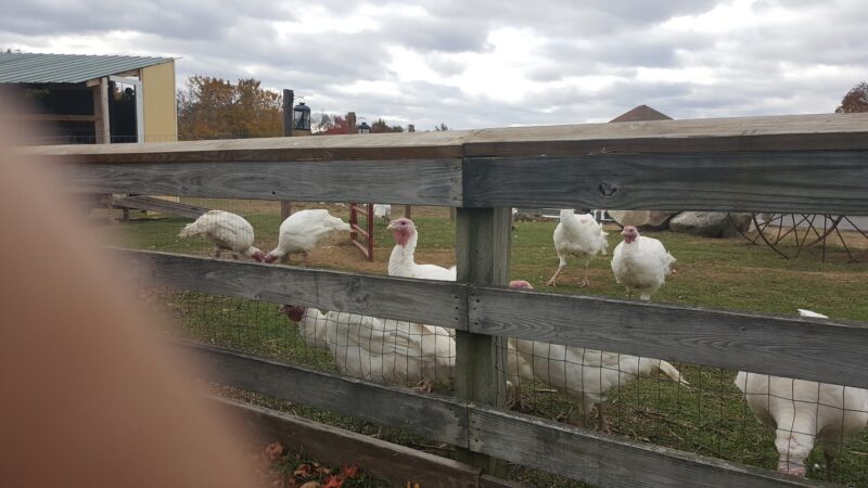 Exeter Town Recreation Department - Exeter, NH