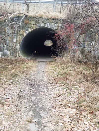 Henderson-Swasey Town Forest - Exeter, NH
