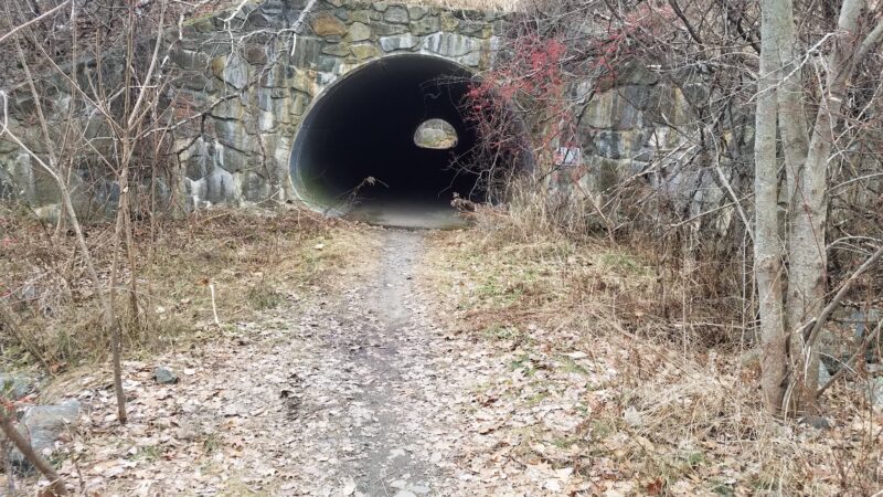 Henderson-Swasey Town Forest - Exeter, NH