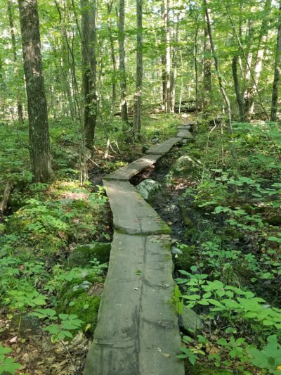 Henderson-Swasey Town Forest - Exeter, NH