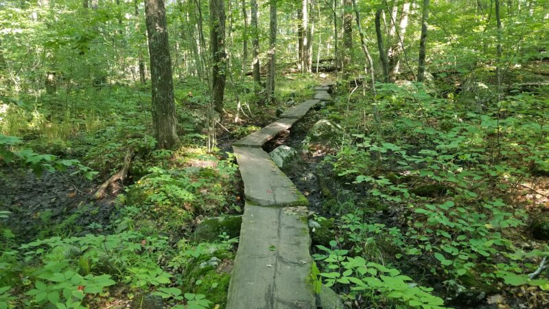 Henderson-Swasey Town Forest - Exeter, NH