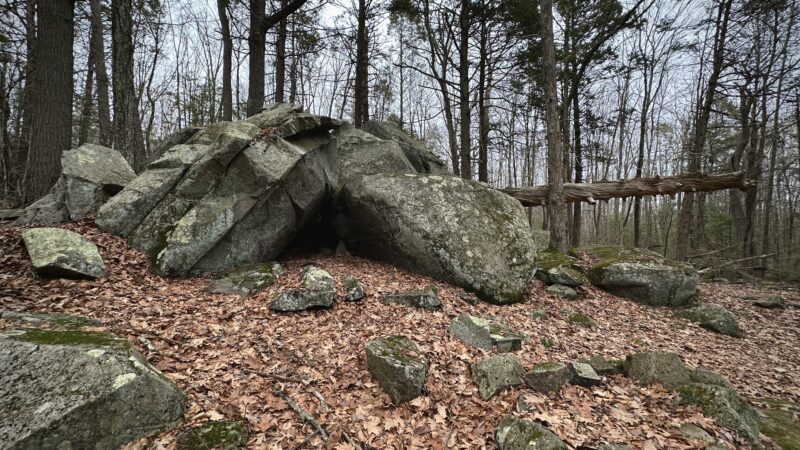 Henderson-Swasey Town Forest - Exeter, NH